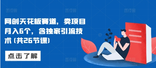 网创天花板赛道，卖项目月入6个，含独家引流技术(共26节课)-SSOKS网创项目-分享创业资讯_最新网络项目资源