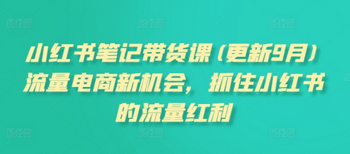 小红书笔记带货课(更新10月)流量电商新机会，抓住小红书的流量红利-SSOKS网创项目-分享创业资讯_最新网络项目资源