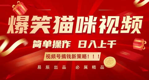 爆笑猫咪视频：简单操作，日入过K，视频号搞钱新策略-SSOKS网创项目-分享创业资讯_最新网络项目资源
