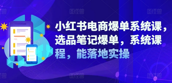 小红书电商爆单系统课，选品笔记爆单，系统课程，能落地实操-SSOKS网创项目-分享创业资讯_最新网络项目资源