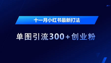 十一月小红书最新打法，单图引流300+创业粉-SSOKS网创项目-分享创业资讯_最新网络项目资源