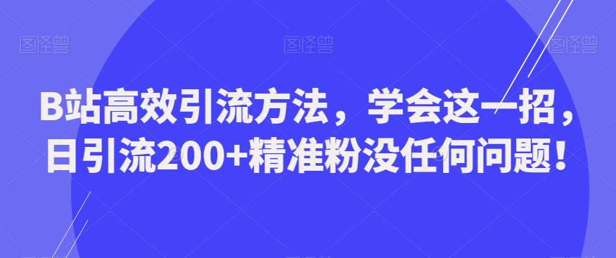 B站高效引流方法，学会这一招，日引流200+精准粉没任何问题【揭秘】-SSOKS网创项目-分享创业资讯_最新网络项目资源