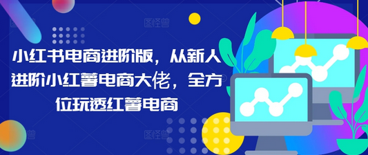 小红书电商进阶版，从新人进阶小红薯电商大佬，全方位玩透红薯电商-SSOKS网创项目-分享创业资讯_最新网络项目资源