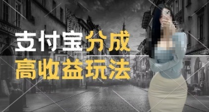 支付宝分成计划新玩法，利用交通事故视频，赚收益，轻松月入过W，操作简单-SSOKS网创项目-分享创业资讯_最新网络项目资源