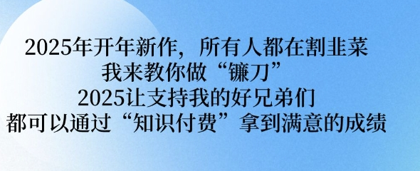 2025年开年新作，所有人都在割韭菜，我来教你做“镰刀” 2025让支持我的好兄弟们都可以通过“知识付费”拿到满意的成绩-SSOKS网创项目-分享创业资讯_最新网络项目资源