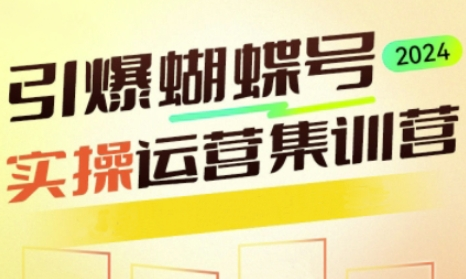 引爆蝴蝶号实操运营，助力你深度掌握蝴蝶号运营，实现高效实操，开启流量变现之路-SSOKS网创项目-分享创业资讯_最新网络项目资源