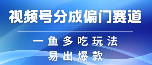 视频号创作者分成计划偏门类目，容易爆流，实拍内容简单易做-SSOKS网创项目-分享创业资讯_最新网络项目资源