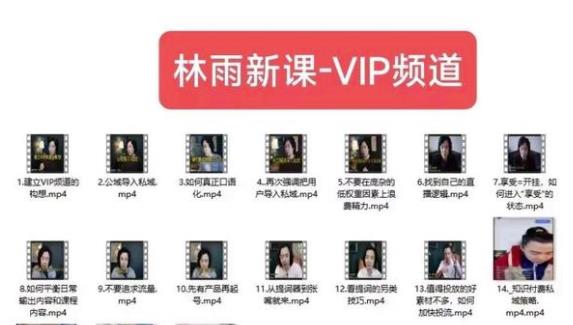 林雨新课VIP频道，玩赚私域/朋友圈/社群-SSOKS网创项目-分享创业资讯_最新网络项目资源