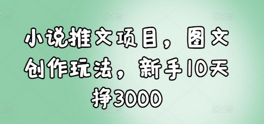 小说推文项目，图文创作玩法，新手10天挣3000-SSOKS网创项目-分享创业资讯_最新网络项目资源