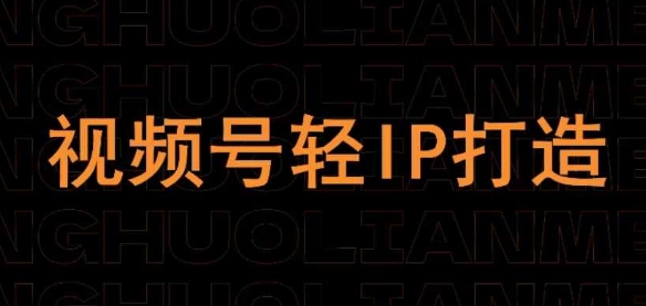 视频号线上课程，视频号轻IP打造-SSOKS网创项目-分享创业资讯_最新网络项目资源