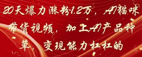 20天爆力涨粉1.2W，AI猫咪带货视频，加上AI产品种草，变现能力杠杠的-SSOKS网创项目-分享创业资讯_最新网络项目资源