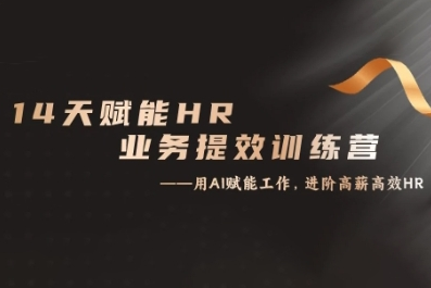 14天ChatGPT赋能HR业务提效训练营，从小白到应用高手-SSOKS网创项目-分享创业资讯_最新网络项目资源