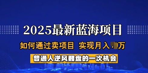 2025蓝海项目，普通人如何通过卖项目，实现月入过W，全过程-SSOKS网创项目-分享创业资讯_最新网络项目资源