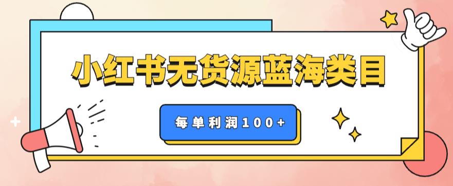 小红书无货源做蓝海类目【每单利润50-200+】，单月轻松过万【揭秘】-SSOKS网创项目-分享创业资讯_最新网络项目资源
