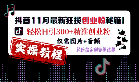 抖音11月最新狂揽创业粉秘籍，轻松日引300+精准创业粉，仅需图片+音频，轻松搞定创业类视频-SSOKS网创项目-分享创业资讯_最新网络项目资源
