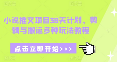 小说推文项目38天计划，剪辑与搬运多种玩法教程-SSOKS网创项目-分享创业资讯_最新网络项目资源