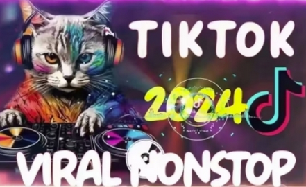 Tiktok东南亚小店运营，TK跨境小店教程让学员能快速掌握实用的运营技巧-SSOKS网创项目-分享创业资讯_最新网络项目资源