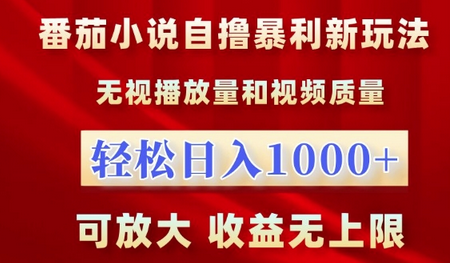 番茄小说自撸暴利新玩法，无视播放量，轻松日入1k，可放大，收益无上限-SSOKS网创项目-分享创业资讯_最新网络项目资源