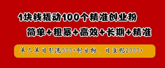 1块钱撬动100个精准创业粉，简单粗暴高效长期精准，单人单日引流500+创业粉，日变现2k-SSOKS网创项目-分享创业资讯_最新网络项目资源