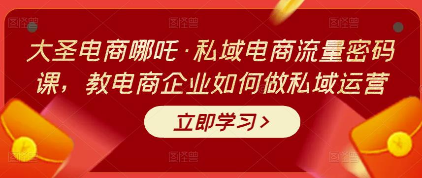 大圣电商哪吒·私域电商流量密码课，教电商企业如何做私域运营-SSOKS网创项目-分享创业资讯_最新网络项目资源