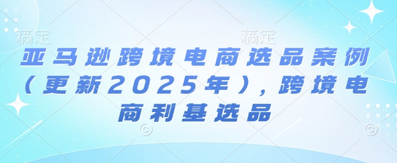 亚马逊跨境电商选品案例(更新2025年3月)，跨境电商利基选品-SSOKS网创项目-分享创业资讯_最新网络项目资源