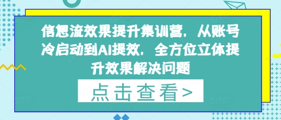 信息流效果提升集训营，从账号冷启动到AI提效，全方位立体提升效果解决问题-SSOKS网创项目-分享创业资讯_最新网络项目资源