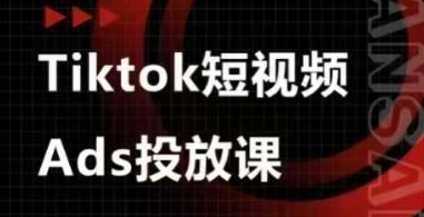 Ads视频投放课，tiktok短视频广告投放课-SSOKS网创项目-分享创业资讯_最新网络项目资源
