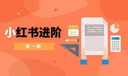 小红书进阶篇，零基础小白实战课，普通人变现的课程-SSOKS网创项目-分享创业资讯_最新网络项目资源