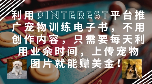 利用Pinterest平台推广宠物训练电子书，不用创作内容，只需要每天利用业余时间，上传宠物图片就能挣美金!-SSOKS网创项目-分享创业资讯_最新网络项目资源