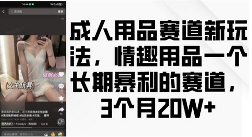 成人用品赛道新玩法，情趣用品一个长期暴利的赛道，3个月收益20个-SSOKS网创项目-分享创业资讯_最新网络项目资源