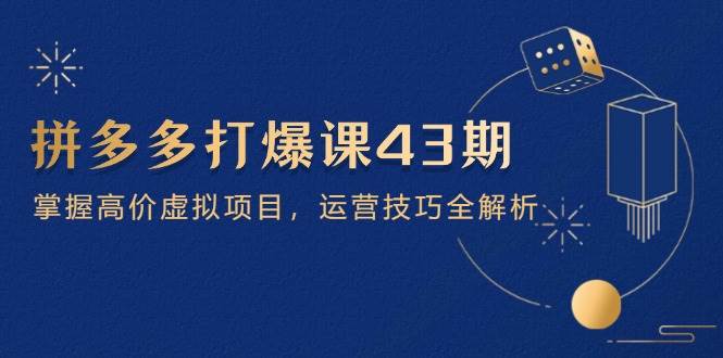 （14546期）拼多多打爆课第 43 期，掌握高价虚拟项目，运营技巧全解析（15节）-SSOKS网创项目-分享创业资讯_最新网络项目资源
