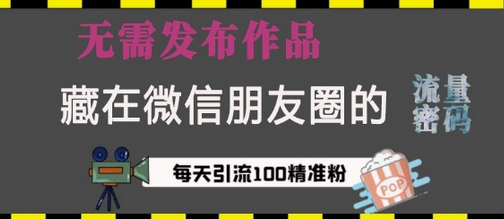 藏在微信朋友圈的流量密码，无需发布作品，单日引流100+精准创业粉-SSOKS网创项目-分享创业资讯_最新网络项目资源
