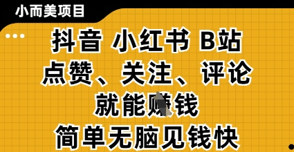 小而美的项目，抖音小红书B站视频点赞、关注、评论就能挣钱，简单无脑立见收益，妥妥的零撸项目【揭秘】-SSOKS网创项目-分享创业资讯_最新网络项目资源