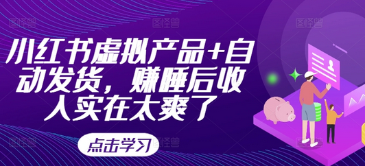 小红书虚拟产品+自动发货，赚睡后收入实在太爽了-SSOKS网创项目-分享创业资讯_最新网络项目资源