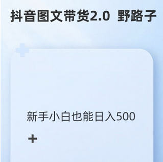 抖音图文带货野路子2.0玩法，暴力起号，单日收益多张，小白也可轻松上手-SSOKS网创项目-分享创业资讯_最新网络项目资源