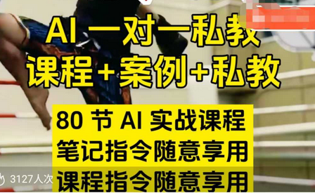 AI指令实战课，课程+案例，80节AI实战课程，笔记指令随意享用，课程指令随意享用 2025-02-07 分类：VIP教程 / 短视频 / 网赚项目 评论(0)-SSOKS网创项目-分享创业资讯_最新网络项目资源