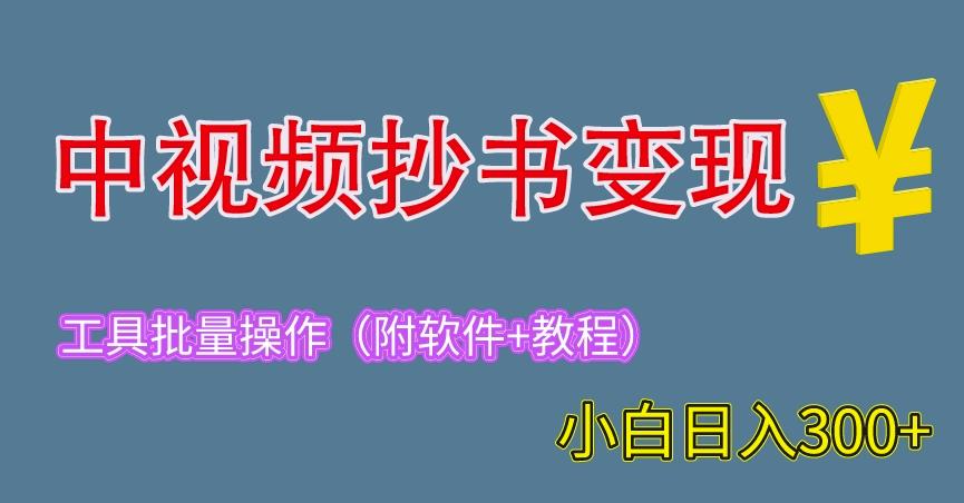 2023中视频抄书变现（附工具+教程），一天300+，特别适合新手操作的副业（揭秘）-SSOKS网创项目-分享创业资讯_最新网络项目资源