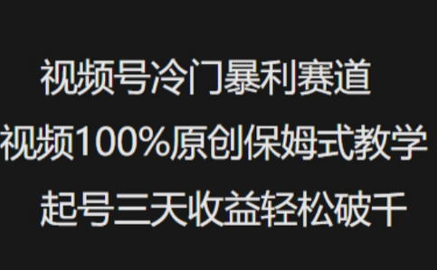 视频号冷门暴利赛道视频100%原创保姆式教学起号三天收益轻松破千-SSOKS网创项目-分享创业资讯_最新网络项目资源