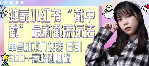 最新小红书截流玩法 独家截中截 单号成本几块钱 日引500+CY粉JZ粉-SSOKS网创项目-分享创业资讯_最新网络项目资源