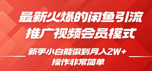 闲鱼引流推广影视会员，0成本就可以操作，新手小白月入过W+-SSOKS网创项目-分享创业资讯_最新网络项目资源