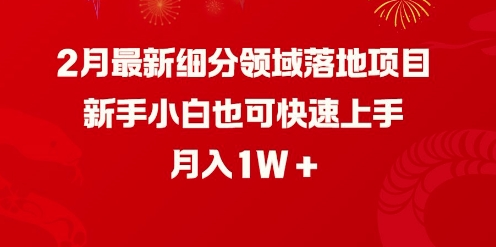 2月最新细分领域落地项目，新手小白也可快速上手，月入1W 2025-02-24 分类：VIP教程 / 网赚教程 / 网赚项目 评论(0)-SSOKS网创项目-分享创业资讯_最新网络项目资源