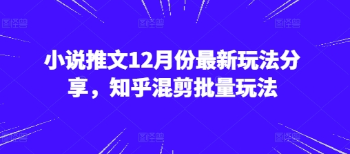 小说推文12月份最新玩法分享，知乎混剪批量玩法-SSOKS网创项目-分享创业资讯_最新网络项目资源