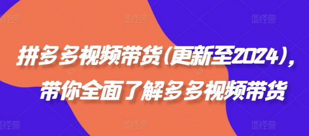 拼多多视频带货(更新至2024)，带你全面了解多多视频带货-SSOKS网创项目-分享创业资讯_最新网络项目资源