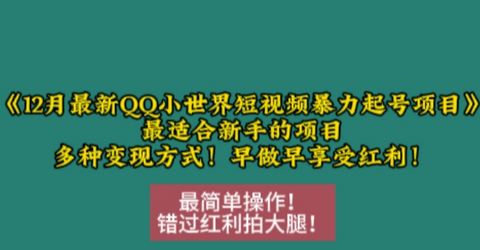 12月最新QQ小世界短视频暴力起号项目，最适合新手的项目，多种变现方式-SSOKS网创项目-分享创业资讯_最新网络项目资源