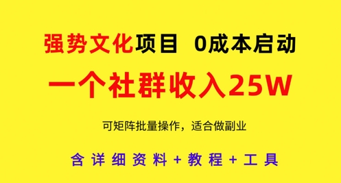 强势文化项目，一个社群收入25个W，0成本启动，可矩阵批量操作，原创详细实操教程-SSOKS网创项目-分享创业资讯_最新网络项目资源