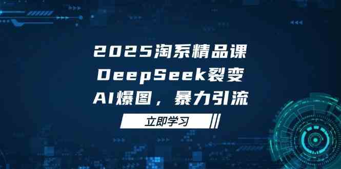 2025无界精品课，DeepSeek裂变，AI爆图，暴力引流助力淘系运营-SSOKS网创项目-分享创业资讯_最新网络项目资源