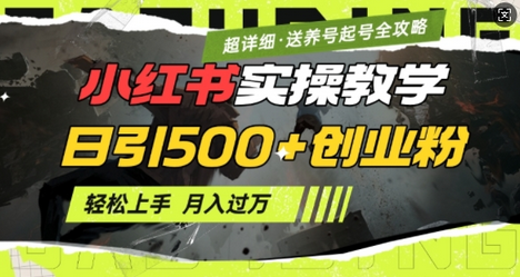 2月小红书最新日引500+创业粉实操教学【超详细】小白轻松上手，月入1W+，附小红书养号起号SOP-SSOKS网创项目-分享创业资讯_最新网络项目资源
