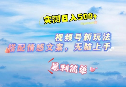 微信视频号最新玩法，表情包搭配情感文案，2分钟一条原创作品，简单好上手，轻松日入几张-SSOKS网创项目-分享创业资讯_最新网络项目资源