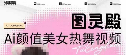 全网首发，原价988图灵殿AI颜值美女热舞视频，云端生图，轻松过原创-SSOKS网创项目-分享创业资讯_最新网络项目资源