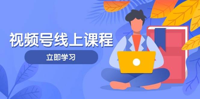 视频号实战课程，轻IP打造与运营技巧，掌握核心方法与策略-SSOKS网创项目-分享创业资讯_最新网络项目资源